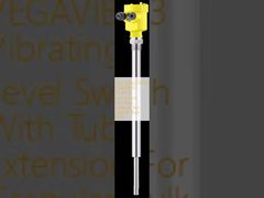 VB63.XXAGDRKMX VEGAVIB 63 Trillingsniveauschakelaar met buisverlenging voor korrelvormige stortgoederen